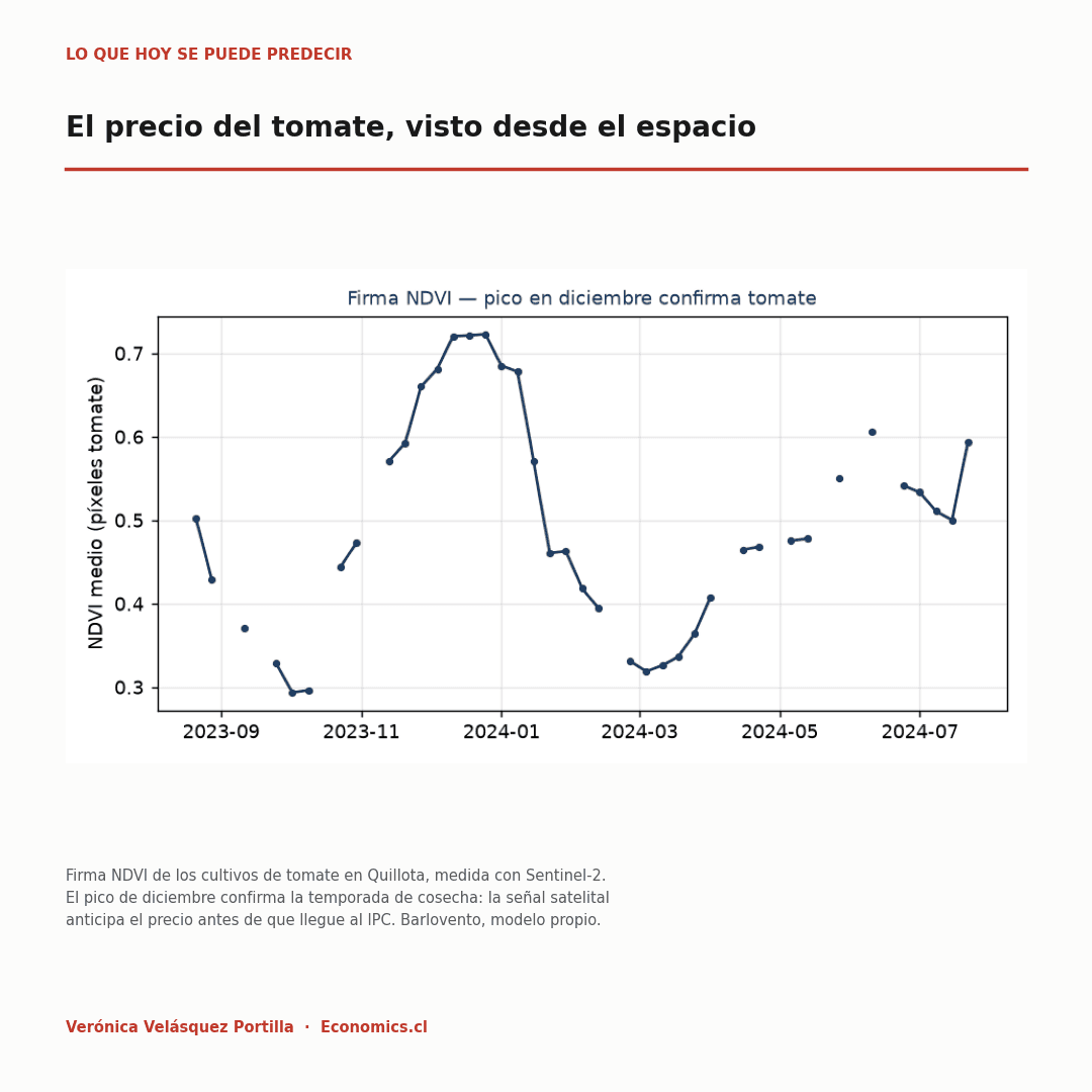 Firma NDVI de los cultivos de tomate en Quillota medida con Sentinel-2